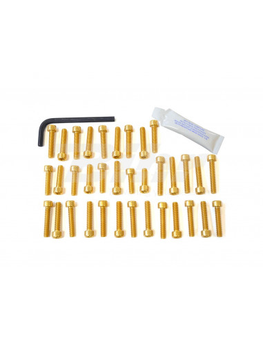 Aluminum hardware kit Pro-Bolt EOYA25G Gold