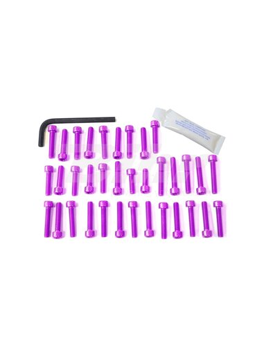 Kit cargols alumini motor Pro-Bolt EDU200P Violeta