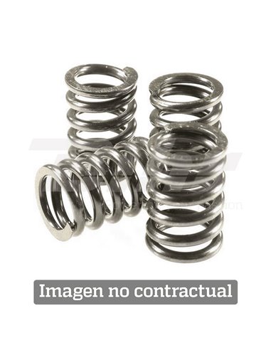 Clutch spring kit 501-47-06044