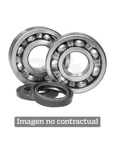 Crank Bearing and Seal Kit ALL BALLS - MOOSE 24-1110