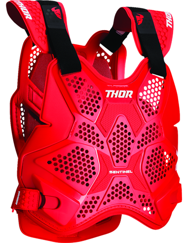 Sentinel Pro Guard THOR 2701-1309