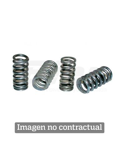 Clutch Spring Kit YZ125 '02 -04 XT-TT-SRX600 '83 -89 HSP-208-5