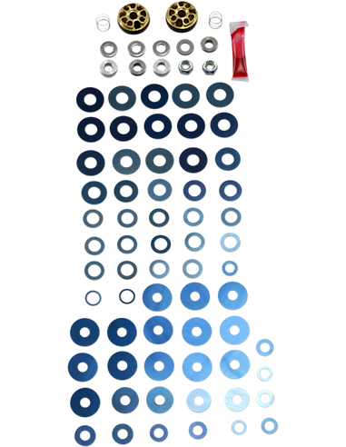 Kit Gold Valve de válvulas retención de hidráulico RACE TECH FRGV 2301