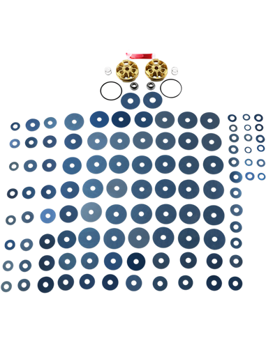 Kit Gold Valve para horquilla RACE TECH FMGV 3520