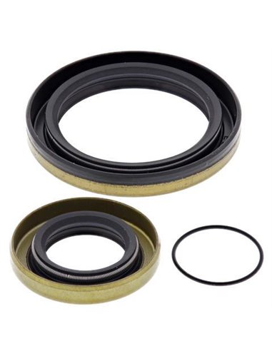 Crank Shaft Seal Kit ALL BALLS - MOOSE 24-2005