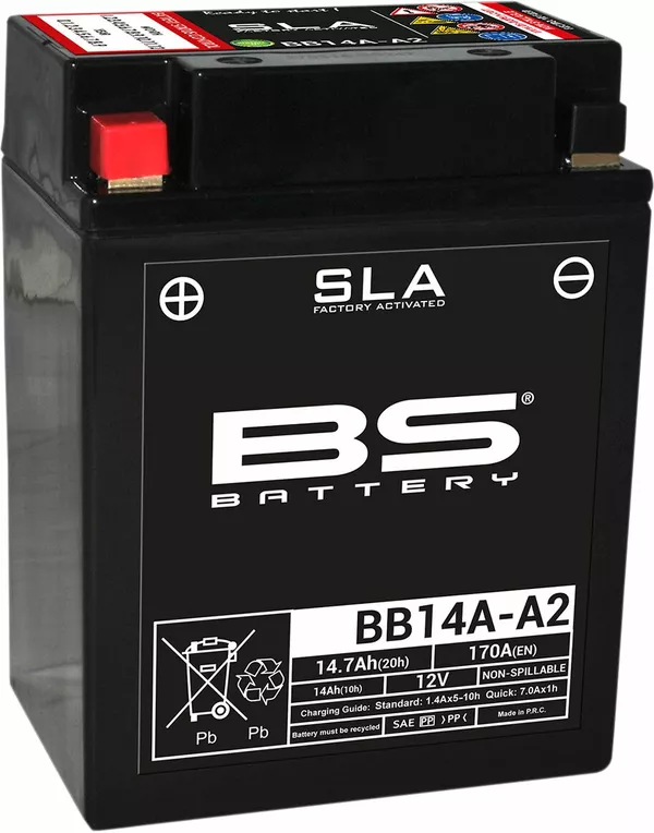 Baterías SLA AGM activadas de fábrica y sin mantenimiento BS BATTERY 300838