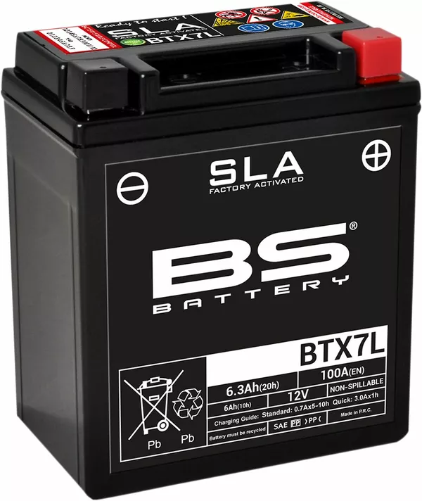 Baterías SLA AGM activadas de fábrica y sin mantenimiento BS BATTERY 300673