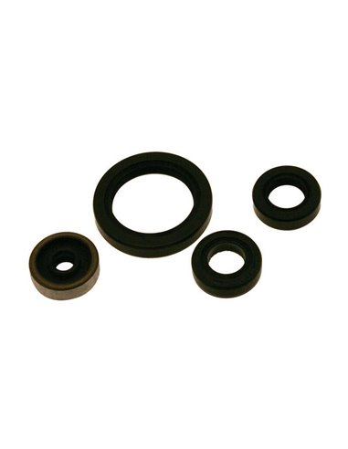 CENTAURO Oil Seal set 722A022SR