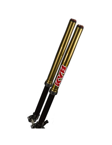 KAYABA Semi-Factory Spring Fork Yamaha YZF ​162019000501​