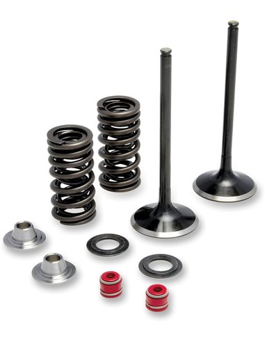 Kit de soupape d'admission et de ressort en acier inoxydable Crf450 Moose Racing Hp M30-31240