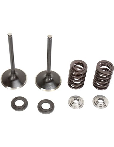 Válvula de admissão de aço inoxidável e kit de mola 250Sxf Moose Racing Hp M96-96450