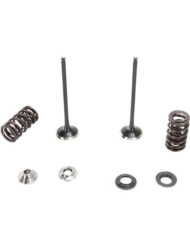 Moose Racing Hp M96-96490 Válvula de admissão de aço inoxidável e kit de mola 250Sx-F