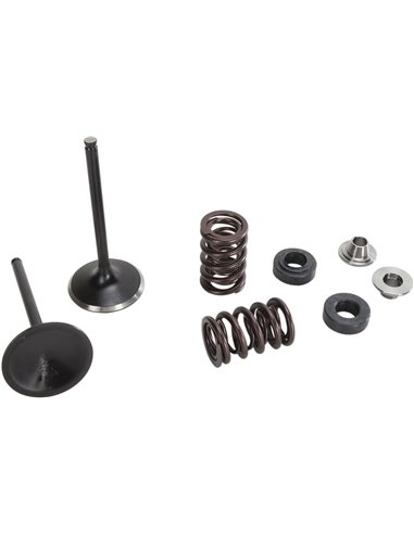 Válvula de admissão de aço inoxidável e kit de mola Int Mse Yz450F Moose Racing Hp M80-81100