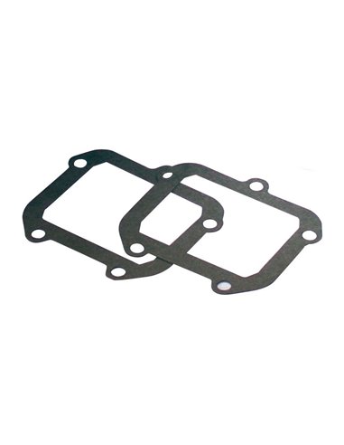 V-Force Reed Box Gaskets