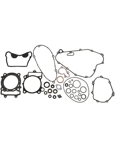 Complete kit of gaskets and oil seals Comp W / Os Kawi Moose Racing Hp 811485