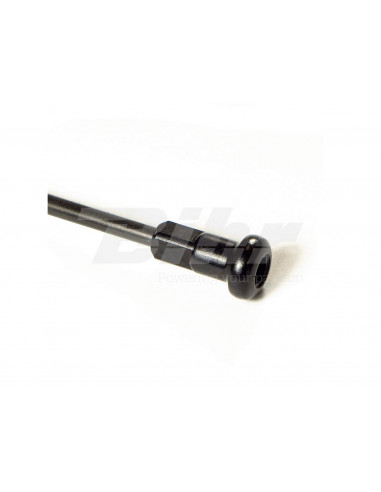 Black spoke nut set 16 001/3