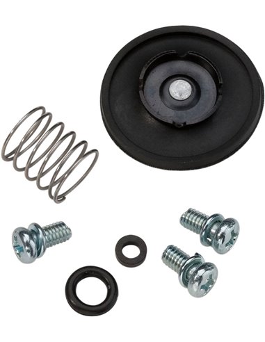 Accel. Pump Rebuild Kit ALL BALLS - MOOSE 46-3001