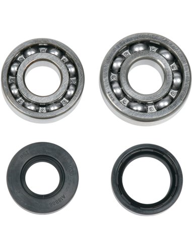 Crank Shaft Bearing Kit ALL BALLS - MOOSE 24-1023