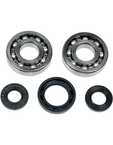 Crank Shaft Bearing Kit ALL BALLS - MOOSE 24-1028