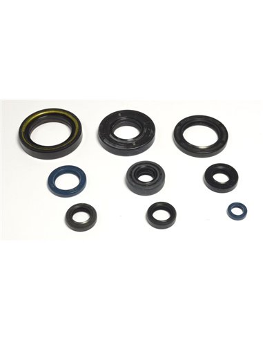 Kit de retenes del motor Athena P400485400036