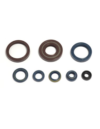 Kit de retenes del motor Athena P400220400128