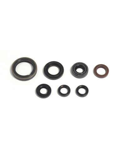 Kit de retenes del motor Athena P400485400039