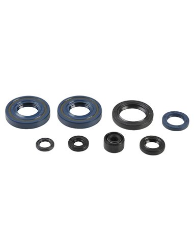 Kit de retenes del motor Athena P400250400008