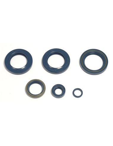 Kit de retenes del motor Athena P400270400051