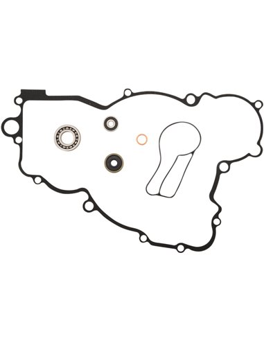 Conjunto de juntas de bomba de água KTM Athena P400270475006