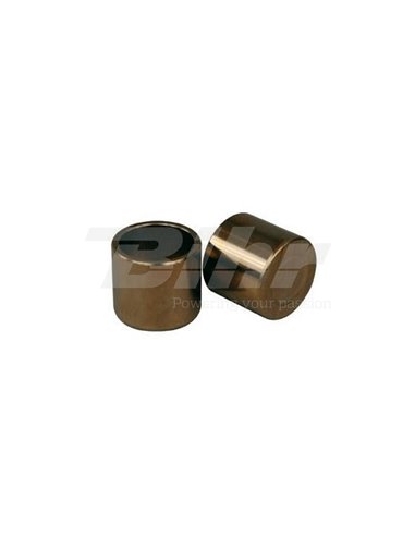 Kit pistons per pinça de fre davantera NISSIN FP-009