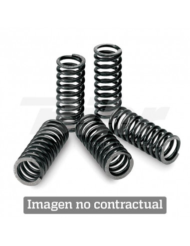 Suzuki Clutch Spring Kit