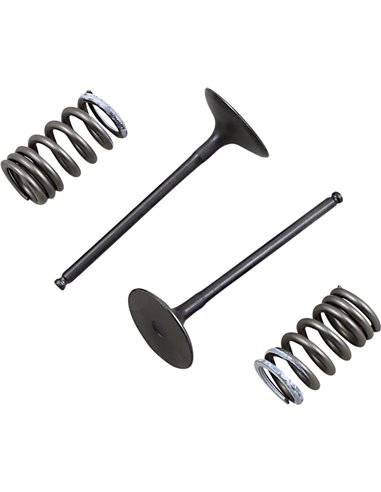 ProX Valve And Spring Intake Kit 28SIS33382