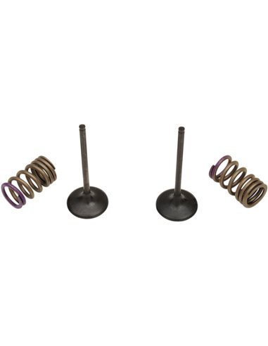 ProX Valve And Spring Intake Kit 28.SIS4338-2