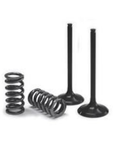 ProX Valve And Spring Intake Kit 28.SIS6333-2