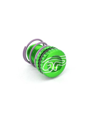 Tornillos(2) Tensores Manetas Freno y Embrague AJP/Braktec, Verde Costa Special Parts AK5920AJ.N