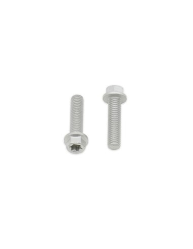 Tornillos con cabeza hexagonal/Torx BOLT M6 x 1,00 x 25mm Bolt 024-60625