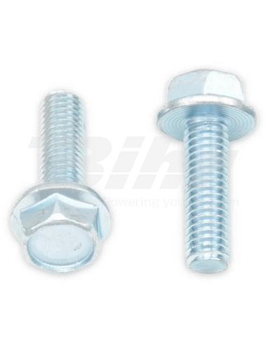 Tornillos con cabeza hexagonal de brida BOLT 10mm M6 x 1,00 x 20mm Bolt 023-10620