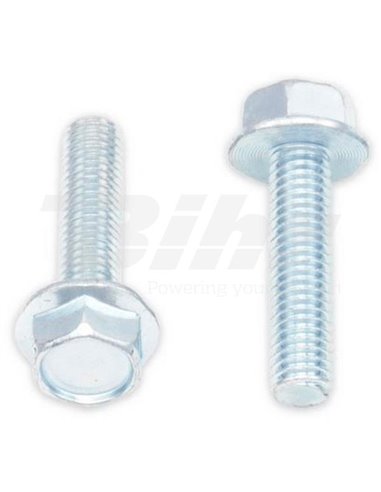 Tornillos con cabeza hexagonal de brida BOLT 10mm M6 x 1,00 x 25mm Bolt 023-10625