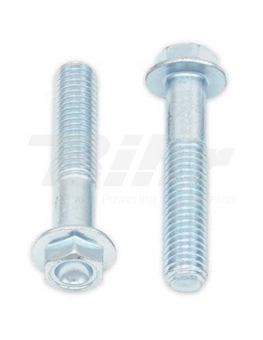 Tornillos con cabeza hexagonal de brida BOLT M8 x 1,25 x 45mm 10uds Bolt 024-20845