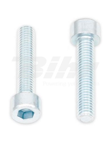 Tornillos BTR BOLT M6 x 1 x 12mm Bolt 024-50612