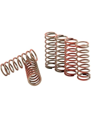 Clutch Spring Kit Set Of 4 For Honda HINSON CS389-4-0109