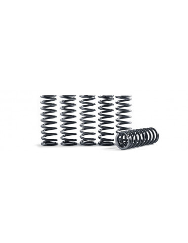 HINSON Clutch Springs for Honda