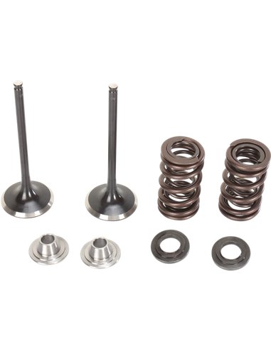 Kit de muelle y válvula de admisión de acero inoxidable Kx450F Moose Racing Hp M40-40360