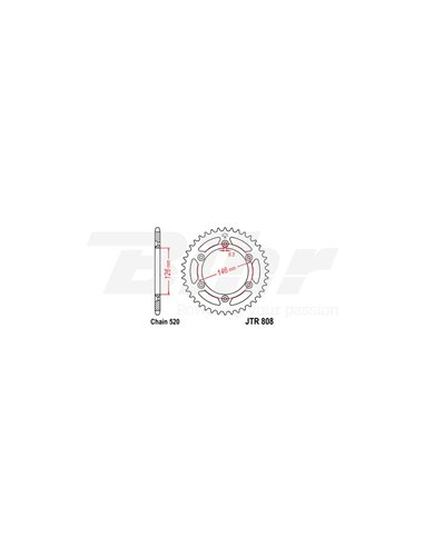 Couronne en acier JT 808 avec 49 dents