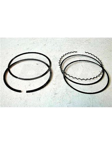 Set of 2 Wiseco 95.50 segments