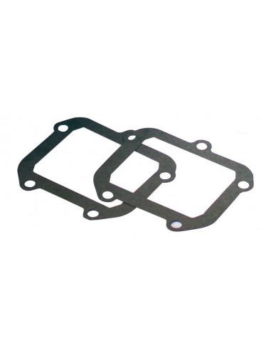 Gaskets for reed valve V-Force G382