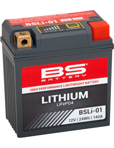 Lithium LiFePO4 Battery BS BATTERY 360101